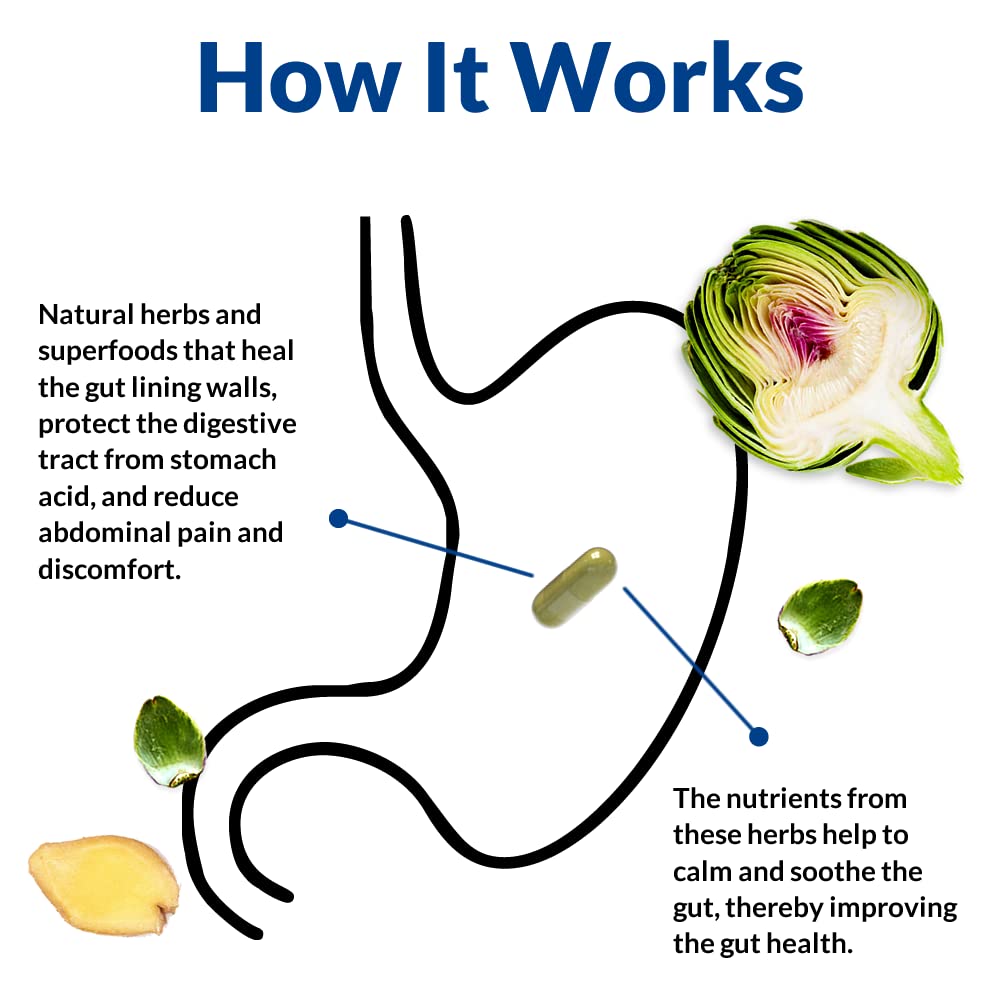 Gut Alive by Holistic Health Labs: Natural Relief for Digestive Harmony