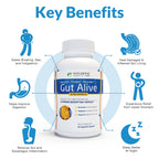 Gut Alive by Holistic Health Labs: Natural Relief for Digestive Harmony