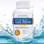 Gut Alive by Holistic Health Labs: Natural Relief for Digestive Harmony