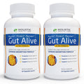 Gut Alive by Holistic Health Labs: Natural Relief for Digestive Harmony