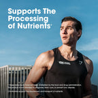 Men’s Daily Multivitamin with Amino Acids & Immune Support – 80 Day Supply (240 Tablets) | Optimum Nutrition Opti-Men
