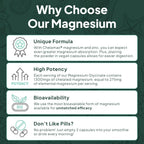 Organics Ocean Pure Magnesium Glycinate with Zinc: Advanced Sleep & Muscle Support