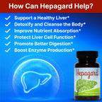 Natural Liver Support Supplement 30 Capsules