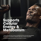 Men’s Daily Multivitamin with Amino Acids & Immune Support – 80 Day Supply (240 Tablets) | Optimum Nutrition Opti-Men
