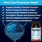 Natural Prostate Support Supplement - Non-GMO, Vegan, Gluten-Free