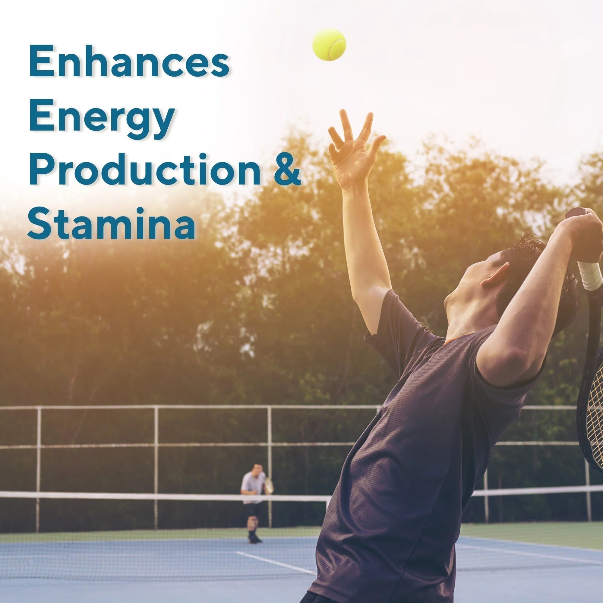 Cellgevity, Advanced Riboceine Technology, 120 Capsules, 60 Servings